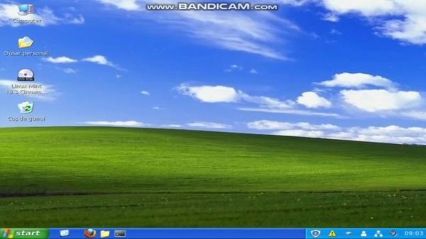 linux mint transformed in windows xp