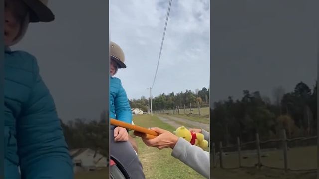 Чудо СказкоИппотерапия смотреть онлайн