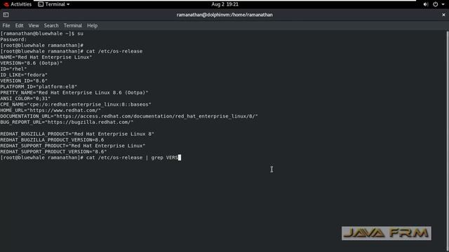 How to check OS Release Version on RHEL 8 смотреть онлайн