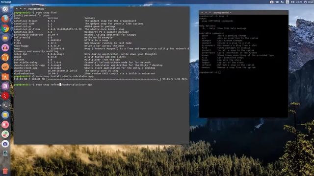 Snap Manager Installing Snaps on Ubuntu 16.04 LTS смотреть онлайн