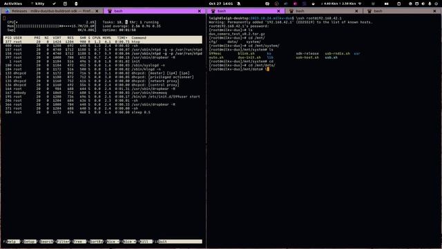 MilkV Duo + CAM-GC2083 - Fix RTSP Streaming To VLC