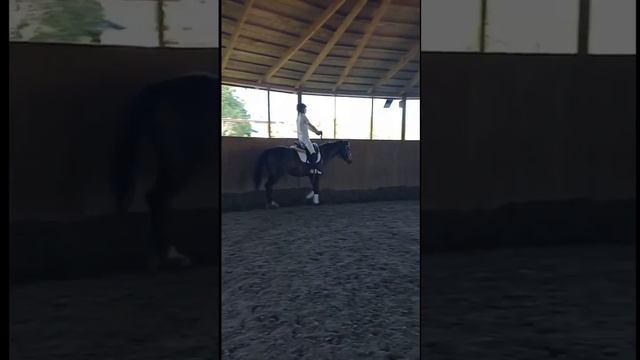 Интенсив Максима Фёдорова смотреть онлайн