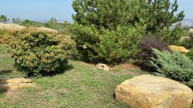 Прогулка по винодельне Гай-Кодзор ч.2