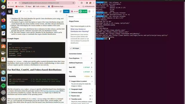 What version of Linux and I using? смотреть онлайн