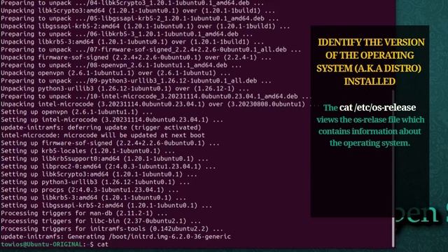Linux CLI: System update & upgrade смотреть онлайн