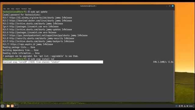 How to Install LXD Containers on Linux Mint 21.1 Vera | Install LXD on Linux Mint 21.1 смотреть онлайн