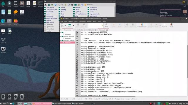 FP64bootcamp1 urxvt1: Tips on setting up Fossapup64 смотреть онлайн
