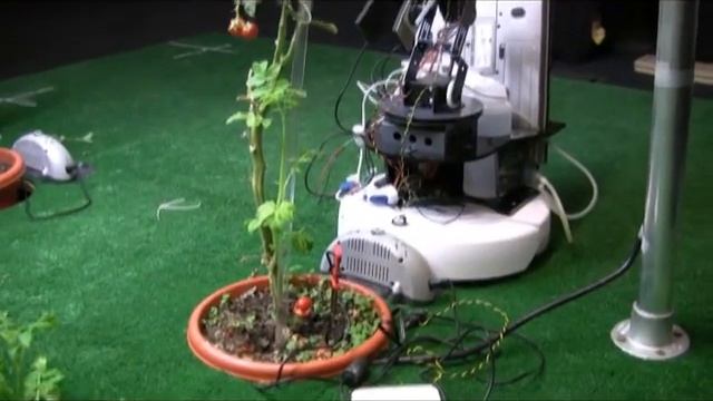 Building a Distributed Robotic Garden смотреть онлайн
