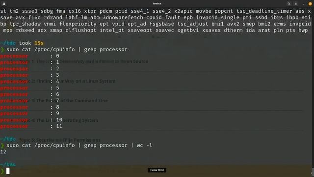 Security in a Nutshell with Linux Essentials (LPI) - LibreOffice Conference 2021 смотреть онлайн