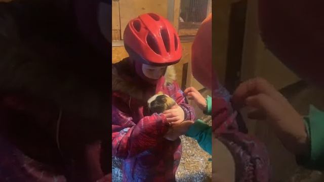 Мотивация «Сходить в гости к зверушкам» смотреть онлайн