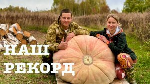 #159. Урожай 2024. ГИГАНТская тыква! 200+ литров компота. [Жизнь на своей земле]