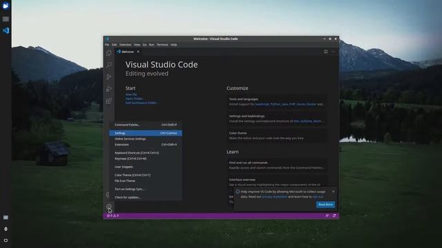VS Code for #golang смотреть онлайн