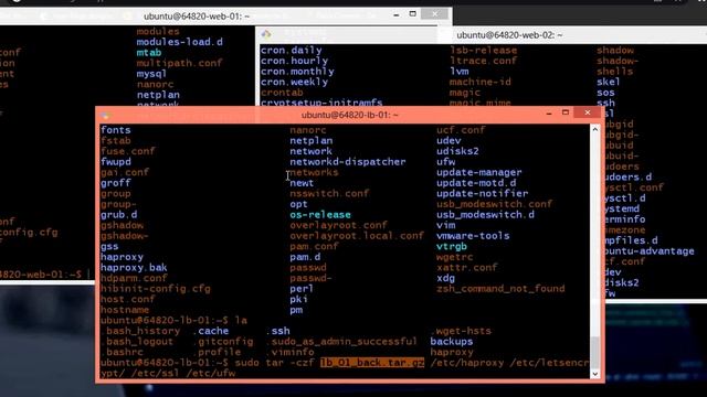 How to backup your Ubuntu server - backup in 15 mins or less #alx #backup смотреть онлайн