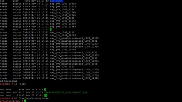 SAPHOSTAGENT Upgrade| SAPBASIS | SAPHANA | ODIAENGINEER | SAP смотреть онлайн