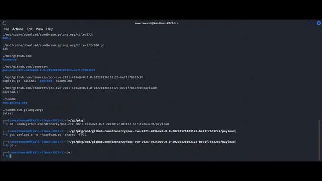 CovertSwarm - PwnKit / PolKit (CVE-2021-4034) Proof of Concept смотреть онлайн