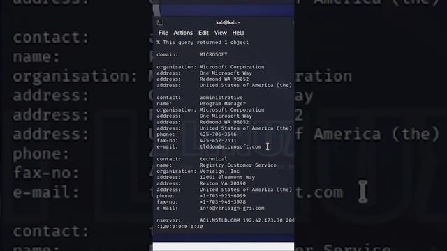 TÉCNICA OSINT en Kali Linux смотреть онлайн