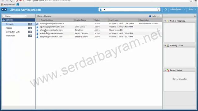 Zimbra Active Directory Authentication смотреть онлайн