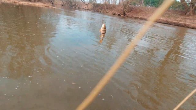 Евронимфинг ранней весной 2. Euro Nymphing. смотреть онлайн