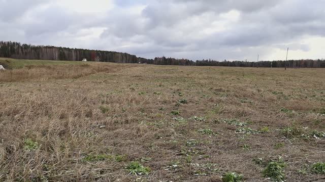 Илья Сумароков - о чрезвычайной ситуации в Тайшетском районе смотреть онлайн