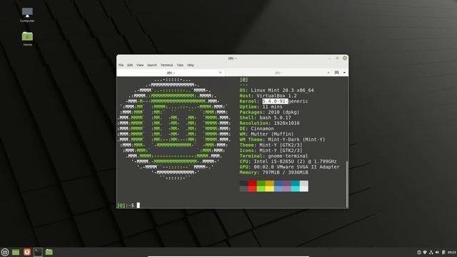 Linux Mint 20.3 (Beta) - First Look смотреть онлайн