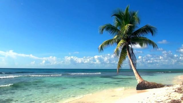4k Live Wallpaper Desktop For Relaxing смотреть онлайн