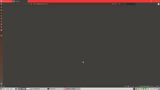 vivaldi .deb package install смотреть онлайн