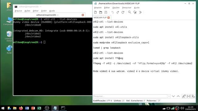 Espelhando a webcam no Linux para o Google Meet смотреть онлайн