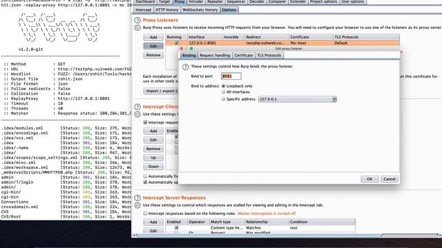 Burp Suite 2.0 Poor-man's spider and scanner - Part 2 смотреть онлайн