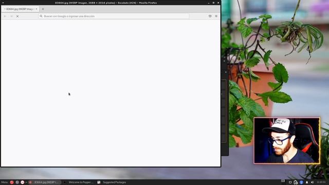 peppermint | Debian 12 смотреть онлайн