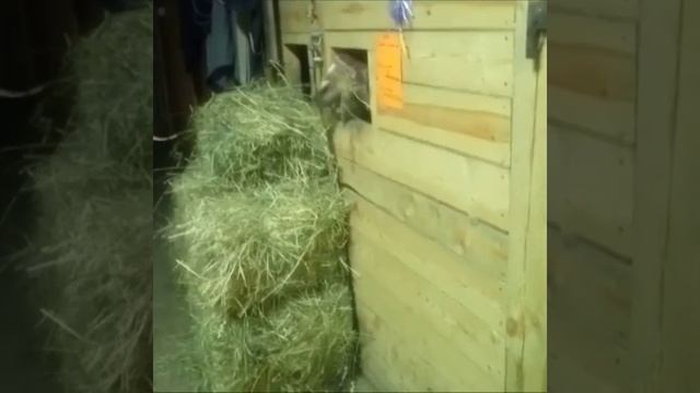 БЛАГОДАРНОСТИ ПОСТ! смотреть онлайн