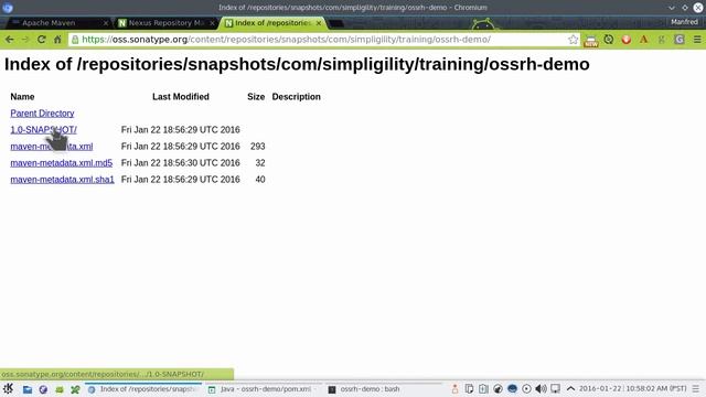 05 - First Deployments - Easy Publishing to Central Repository смотреть онлайн