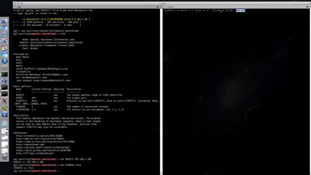 Capture HTTPS passwords with Heartbleed смотреть онлайн
