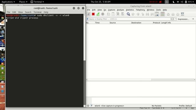 Capture DHCP using Wireshark and terminal (Linux) смотреть онлайн