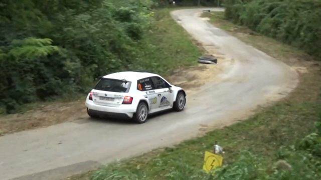 TAXI4 Vértes Rally 2020 Botka Dávid-Szeles Péter смотреть онлайн