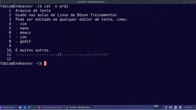 Comando cat - Visualizar e concatenar arquivos de texto no terminal do Linux смотреть онлайн