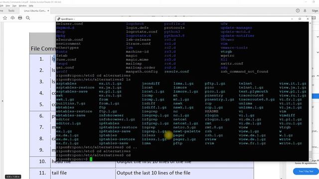 Bangla Linux Web Server | Linux Basic Command-1 | Part - 5 смотреть онлайн