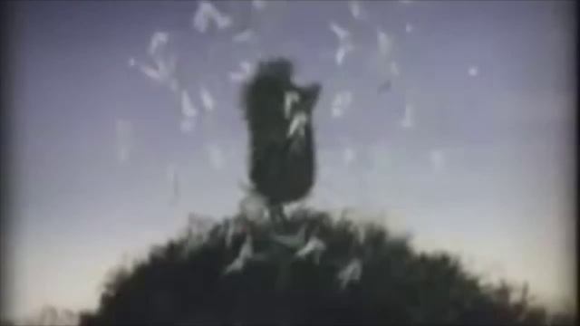 Ёжик в тумане трейлер 2014 года720 смотреть онлайн