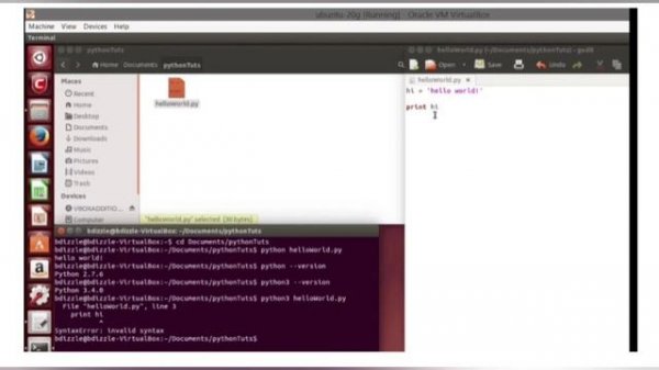 How To Run Python Script On Ubuntu Server