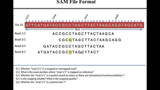 Lecture 1 SAM File Format смотреть онлайн