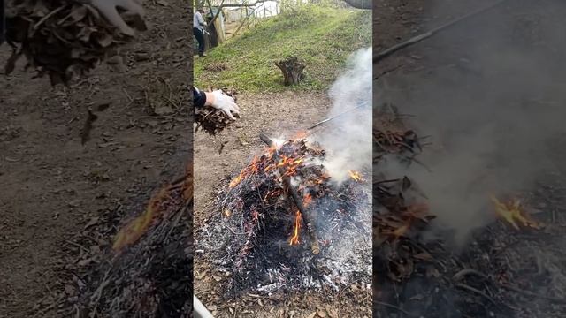 Субботник смотреть онлайн