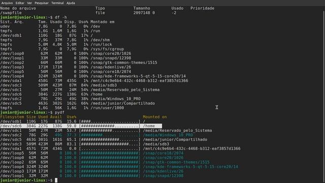 🔵 Swap, / (Pasta Raiz) e Home como montar partição manualmente смотреть онлайн