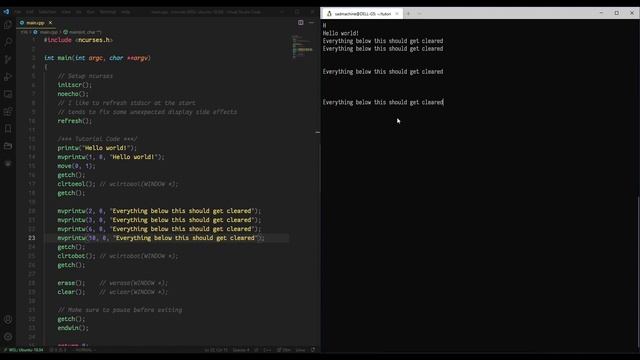Ncurses Tutorial 16 - Clear Routines (clrtoeol, clrtobot, erase, clear) смотреть онлайн