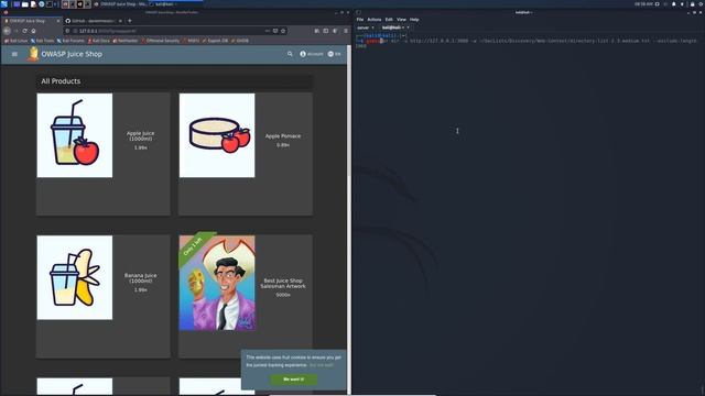 Apprendre les bases du hacking - Enumération - Dirb, Gobuster & FFuF смотреть онлайн