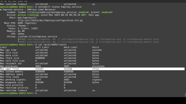 Modifying Linux SystemD services limits смотреть онлайн