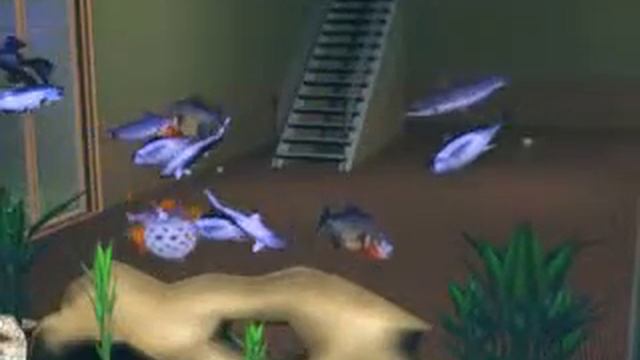 Sims 3 ~The Daily Life of This Chick~ смотреть онлайн