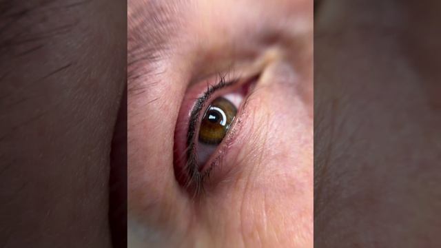 ОТРАБОТКА ВЕК УЧЕНИКОВ