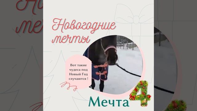 Новогодние мечты - Мечта 4 смотреть онлайн