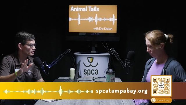 Watch how we're saving shelter animals and pets | Animal Tails #podcast смотреть онлайн