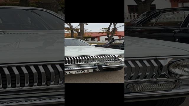 Оригинальные Волги ГАЗ-24 в самых распространенных цветах кузова #сделановссср смотреть онлайн