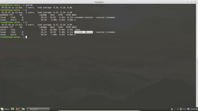 Linux básico - Aula 19 - Entendendo quem são os usuários que o comando uptime exibe смотреть онлайн